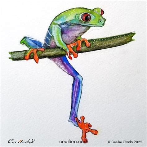 Colorful Creature Tutorial: Tree Frog Watercolor