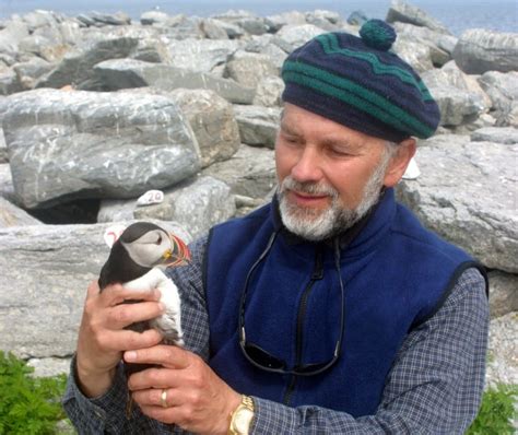 How Newfoundland puffins helped save the bird's population in Maine ...