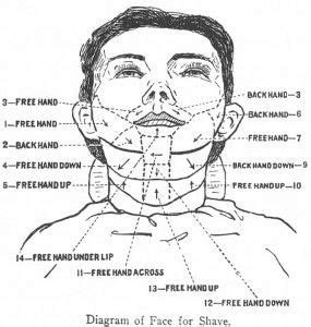 Proper steps to shave by | Shaving face, Straight razor shaving, Shaving razor