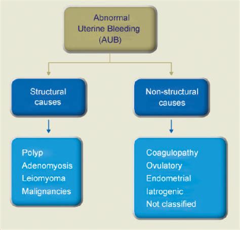 Abnormal Uterine Bleeding Classification