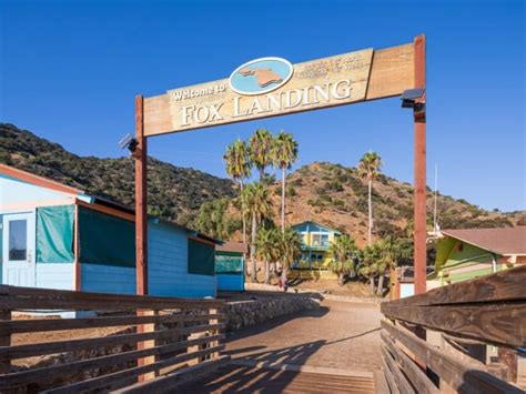 Why Catalina Sea Camp? | Marine Biology Summer Camp California