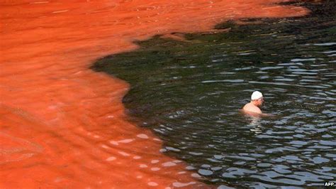 Tonga: Sea turns red due to algal bloom - BBC News