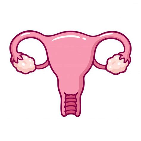 Cartoon uterus drawing Premium Vector | Premium Vector #Freepik #vector #icon | Uterus drawing ...