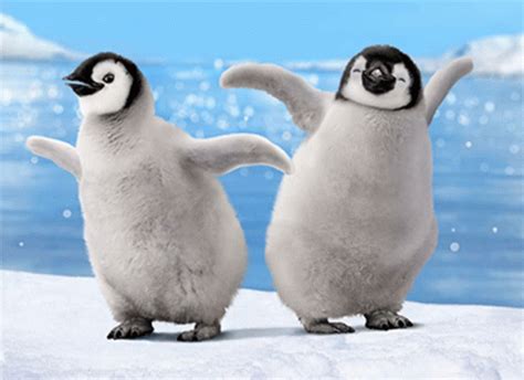 Penguins Dancing GIF - Penguins Dancing Dance - Discover & Share GIFs