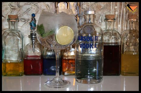 Receta del Vodka Tonic Tropical