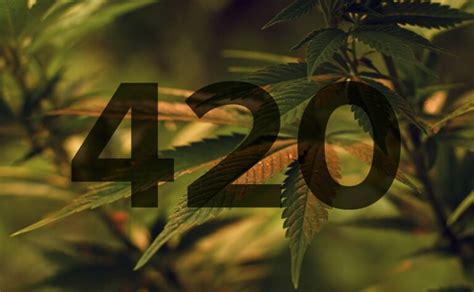 What Does 420 Mean: The Origin of 420 Code - High Thoughts Seeds