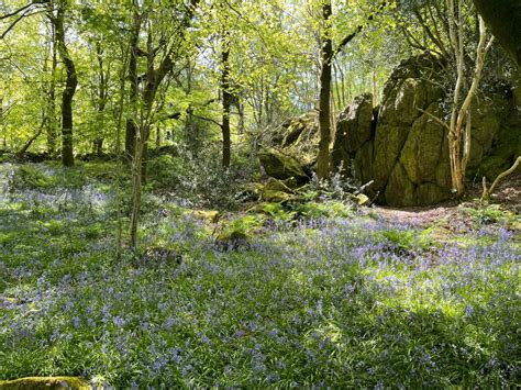 200th Anniversary for Geological Map - Charnwood Forest Geopark