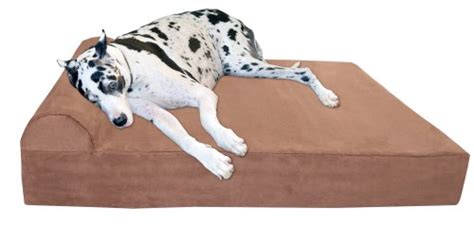 7 Best Dog Bed Ideas For Great Dane (DIY Options) | Scout Knows