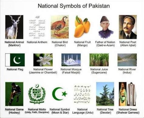 National Symbols of Pakistan – Startup Pakistan