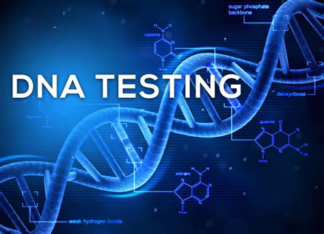 How to know about the Genuine DNA Test?