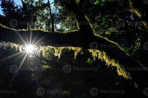 Trekking in the Anaga Mountains 2387166 Stock Photo at Vecteezy