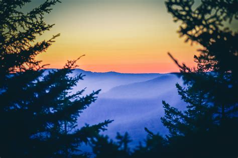 Sunset sky over mountains and pine forest · Free Stock Photo