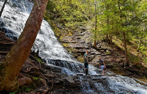 13 easy hiking trails in the Finger Lakes: See waterfalls, creeks, more ...