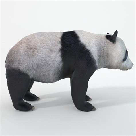 Panda 3D - TurboSquid 1316799