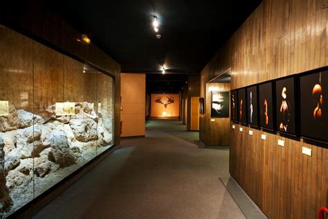 National Archaeology Museum, Saint-Germain-en-Laye - Ile de France - France