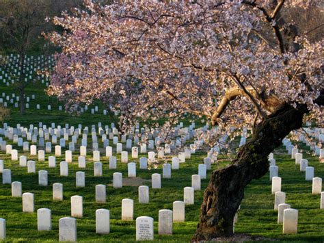 Arlington National Cemetery, the Full Story - Hollywood Progressive