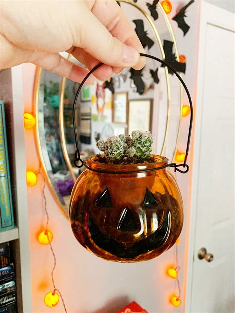 10 Plants That Are Perfect For Halloween - A Paper Arrow