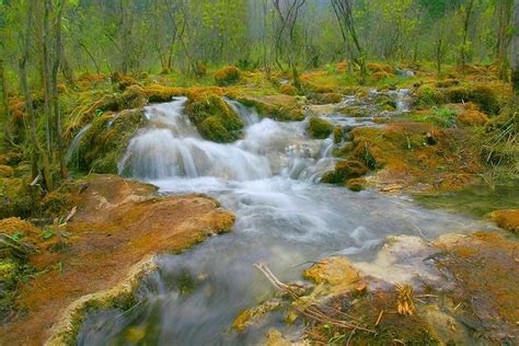 Jiuzhai Valley National Park, China Image - ID: 292398 - Image Abyss