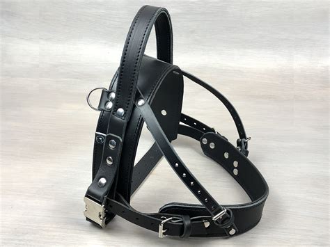 Leather Straight Front Service Dog Harness Fixed Semi Rigid Handle– Yupcollars