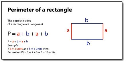 How to Calculate the Perimeter of a Rectangle? - Assignment Point