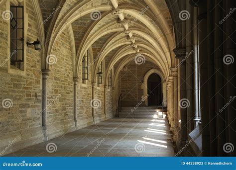 Architecture Detail in Princeton University Editorial Stock Photo - Image of diploma, education ...