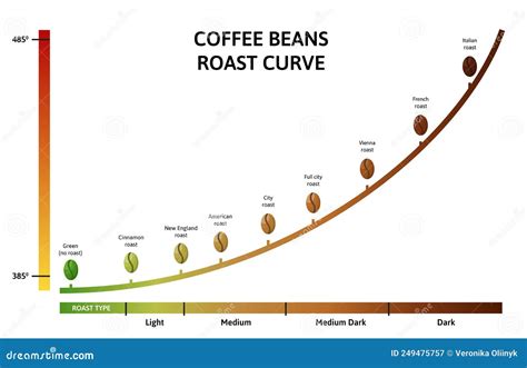 Coffee Roasting Levels. Roast Curve, Optimal Temperature for Roasting ...