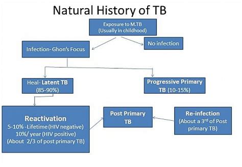 Pulmonary Tuberculosis Symptoms, Causes, Pathophysiology, Test ...