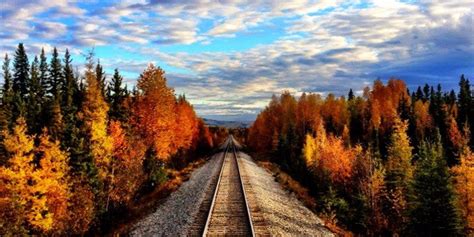 Best Time to Visit Alaska and Ride the Train | AlaskaTrain.com