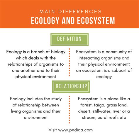 Difference Between Ecology and Ecosystem | Definition, Structure, Role, Similarities