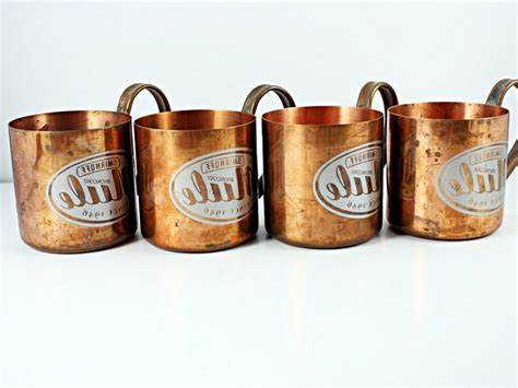 Moscow Mule Mugs Set | Home Design Ideas