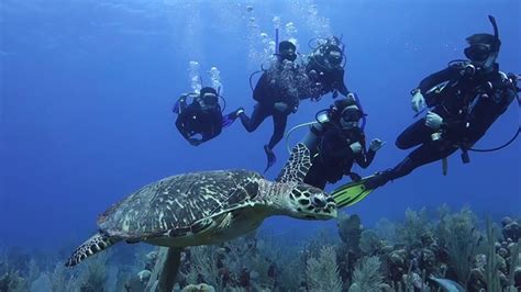 Destination Guide for Best Scuba Diving in Mexico