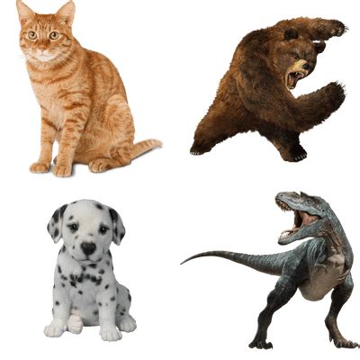 Animals transparent PNG images - StickPNG