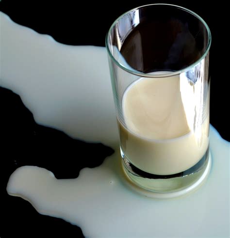 Free Images : white, glass, food, drink, milk, espresso, dessert, coffee cup, dairy product ...