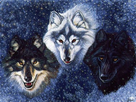 Fantasy Wallpaper: Wolves | Winter wolves, Wolf spirit animal, Wolf wallpaper