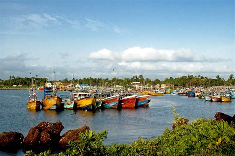 Fish & seafood Market, Beruwala – on the map, photo | Sri Lanka Finder