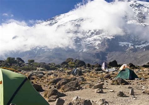 12 Days Kilimanjaro Trek & Safari | Sheengai Pride Safaris