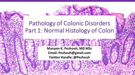 Pathology of Colonic Disorders, Part1: Normal Histology of Colon - YouTube