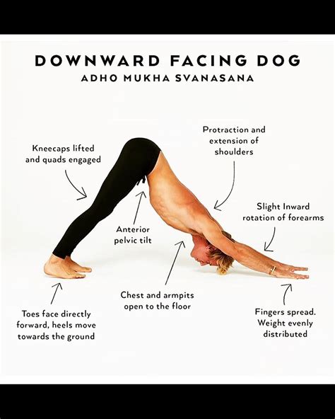 Pin on downward facing dog