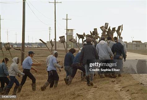 500 Angola Prison Stock Photos, High-Res Pictures, and Images - Getty Images