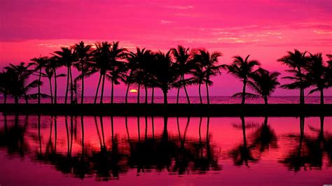 Miami Beach Pink Beautiful Pink Beach Sunset HD wallpaper | Pxfuel