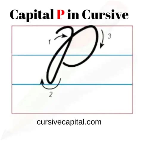 Capital P in Cursive Worksheet and Tutorial