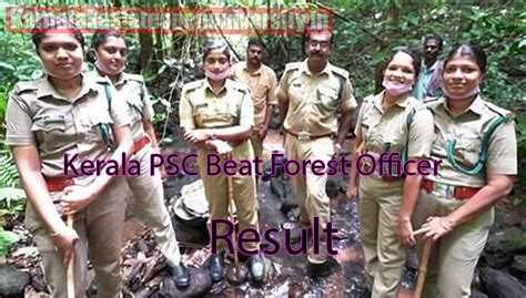 Kerala PSC Beat Forest Officer Result 2024 {Out} Merit List, Cut Off ...