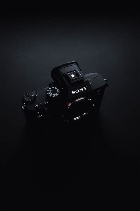 Sony A7R IV Review | Sony's Take on an All-Arounder | Wedio