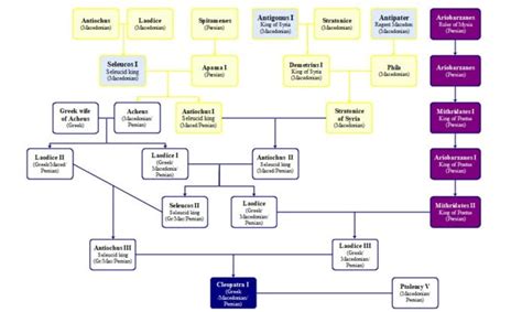 These Are Cleopatra's Dazzling Ancestors. Her Family Tree