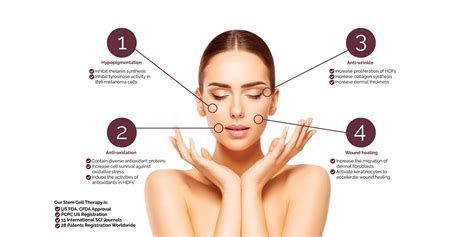 Skin Regeneration Stem Cell Therapy - Whitby - Oshawa - Ajax