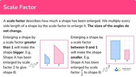 Scale Factor - GCSE Maths - Steps, Examples & Worksheet