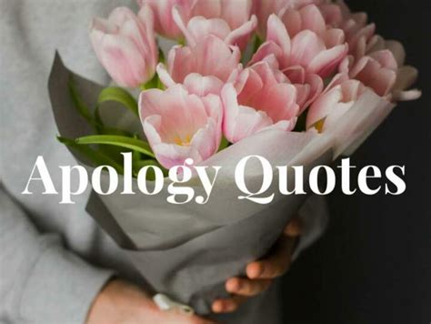 Inspiring Apology Quotes