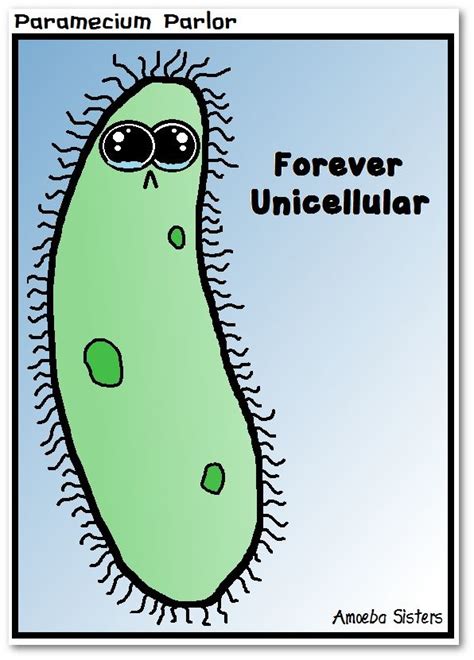 Unicellular - Science with The Amoeba Sisters