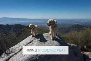 Hiking Stoddard Peak via Barrett Stoddard Road – Mt. Baldy, CA - Trail ...