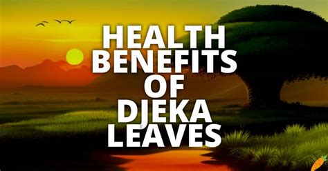 10 Potential Health Benefits Of Djeka Leaves